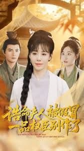 誥命夫人被假冒，一品權(quán)臣別作了(全集)