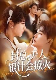 封總，夫人銀針會撩火(全集)