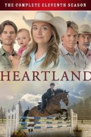 心靈之地第十一季(全集)